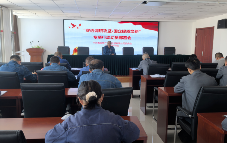 工投公司黨委召開(kāi)&ldquo;穿透調(diào)研攻堅(jiān)&middot;國(guó)企提質(zhì)煥新&rdquo;專項(xiàng)行動(dòng)動(dòng)員部署會(huì)